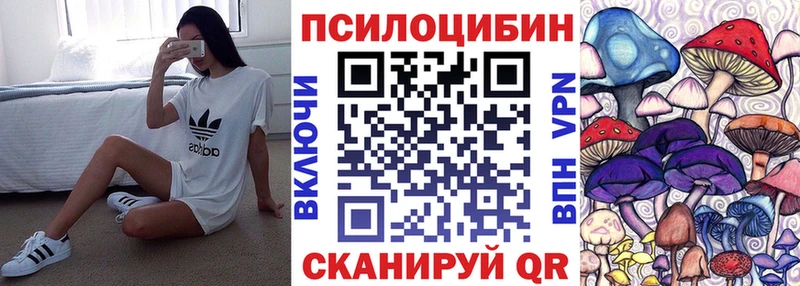 кракен онион  Луза  Псилоцибиновые грибы мухоморы 